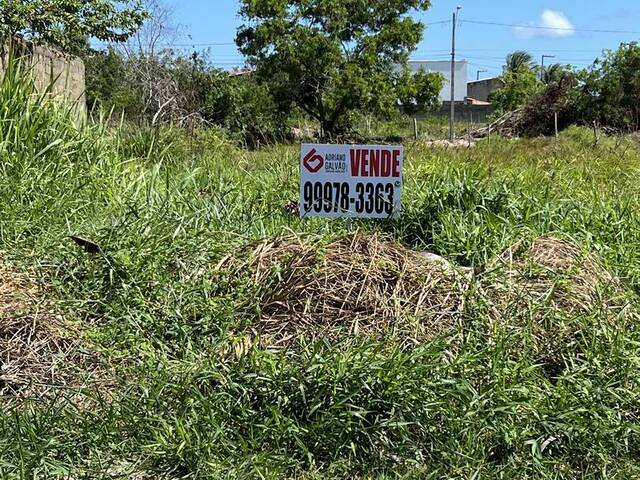 Venda em Francês - Marechal Deodoro